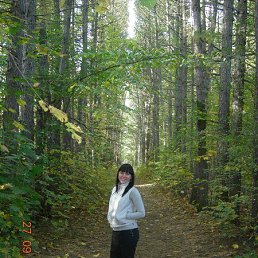 ������, ������ ��������, 41 ���