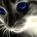  °• Honey•°,  -  23  2021    