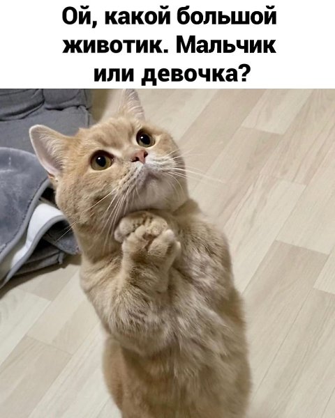 � ���� ������ ���� �������! �������