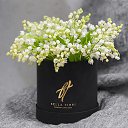 ���� Svetik, ������ - ��������� 3 ������� 2022 � ������ ������(������� ����)�