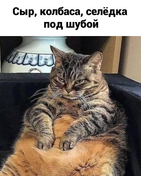 � ���� ������ ���� �������! ������� - 3