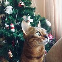 ���� &deg;&bull;&hearts;A����&hearts;&deg;, ������ - ��������� 15 ������ 2022 � ������ ���� ����������