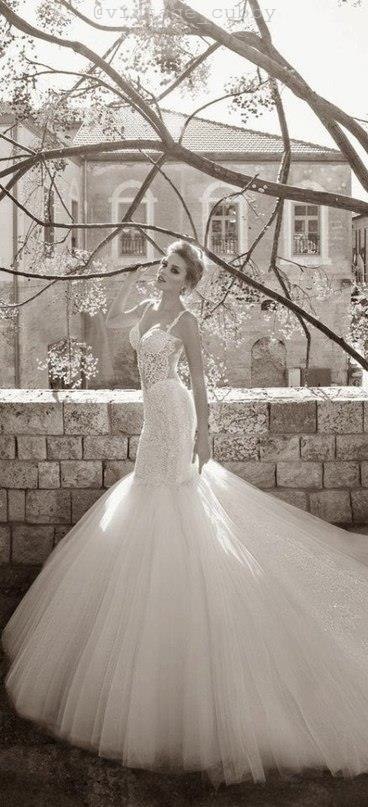 Galia Lahav Spring 2015 : La Dolce Vita Bridal Collection - 7