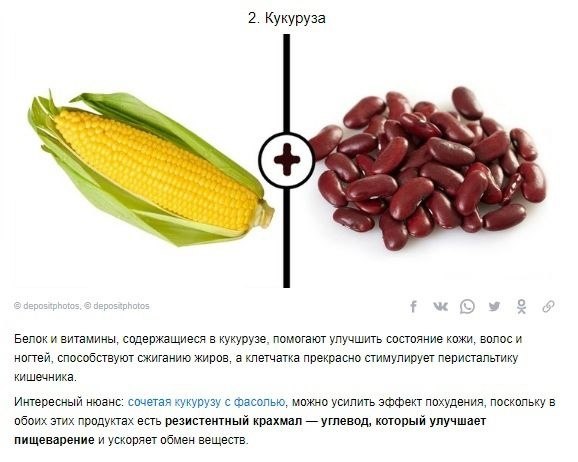 Полезный список углеводов, которые помогают худеть, а не набирать лишние килограммы - 3