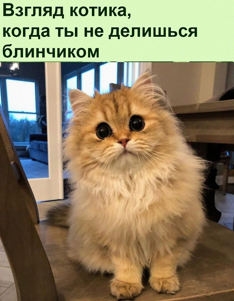   :D - 6  2021  12:49