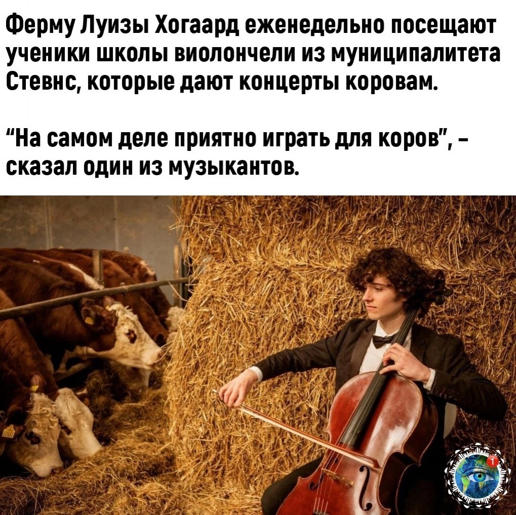c   opo! - 2