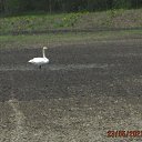 ���� ��������, Kouvola, 78 ��� - ��������� 23 ��� 2021 � ������ ������
