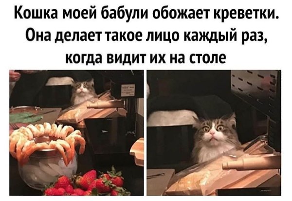   :     .