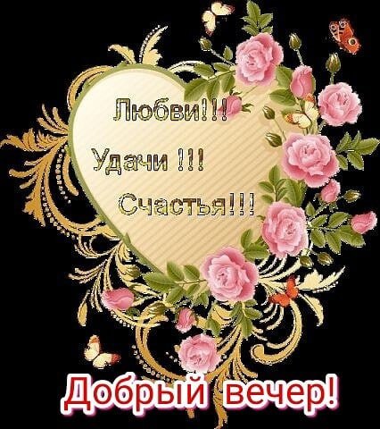   ,    . - 24  2021  17:51 - 4