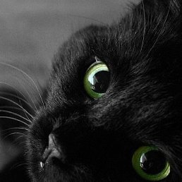 -/\�ska-, ������, 29 ���