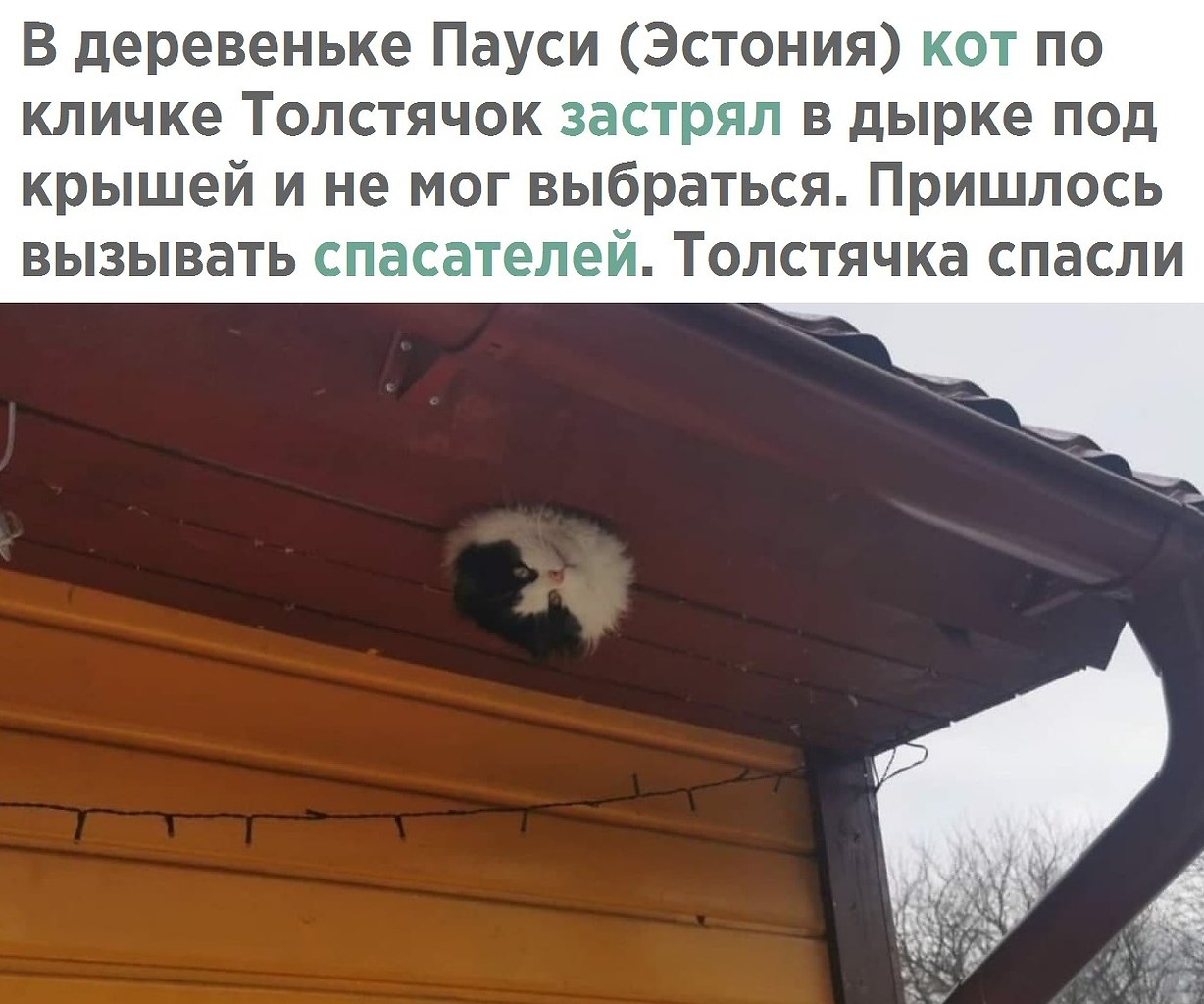    - 28  2021  08:11