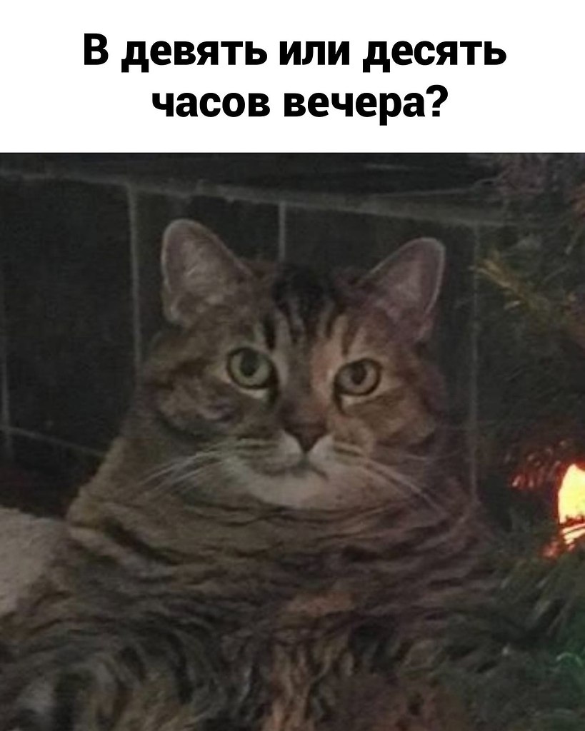 ����, � ���� ������ �����, �����������.������� - 3