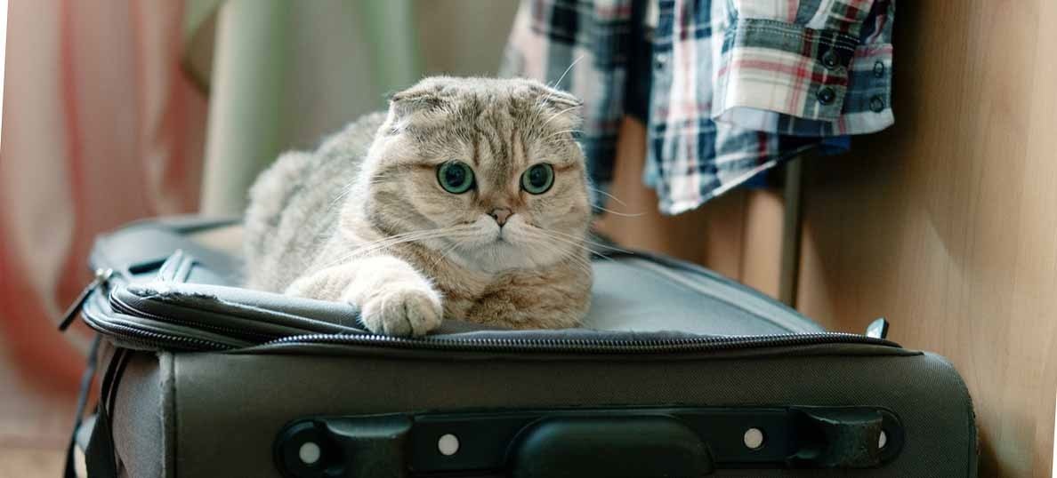        ,      ))) - 3