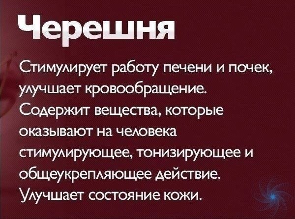  ,    : - 5