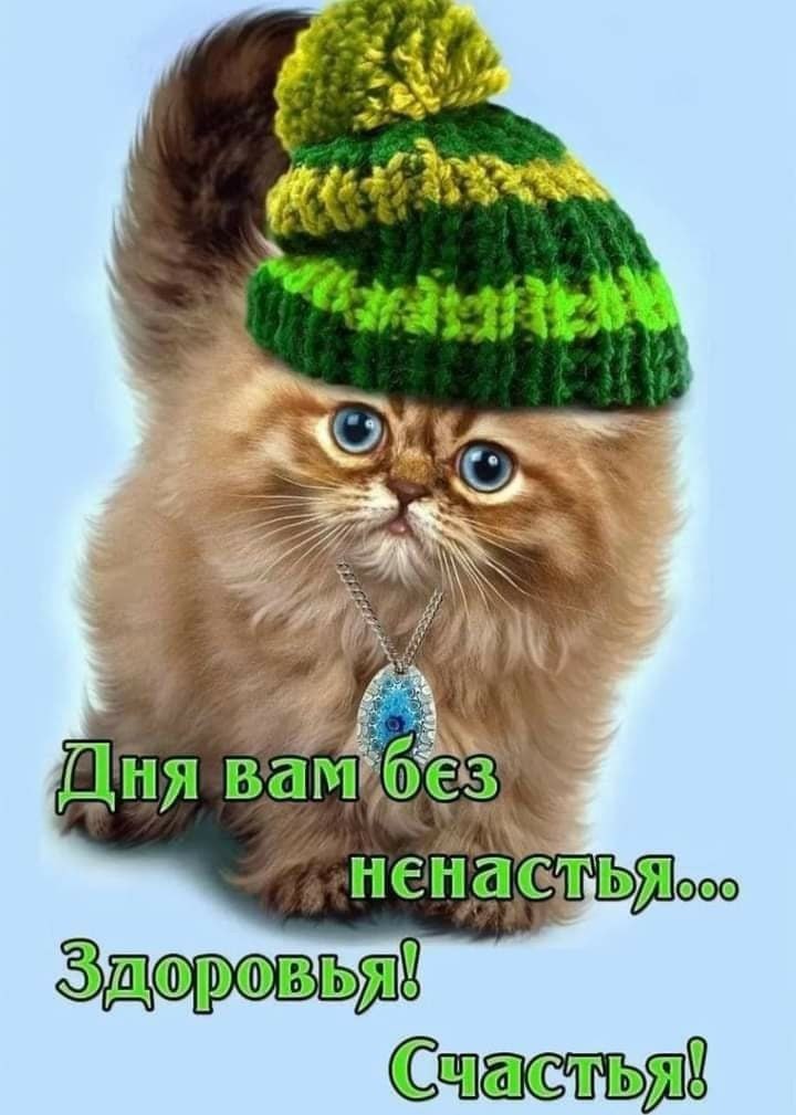   ,    . - 31  2022  10:48