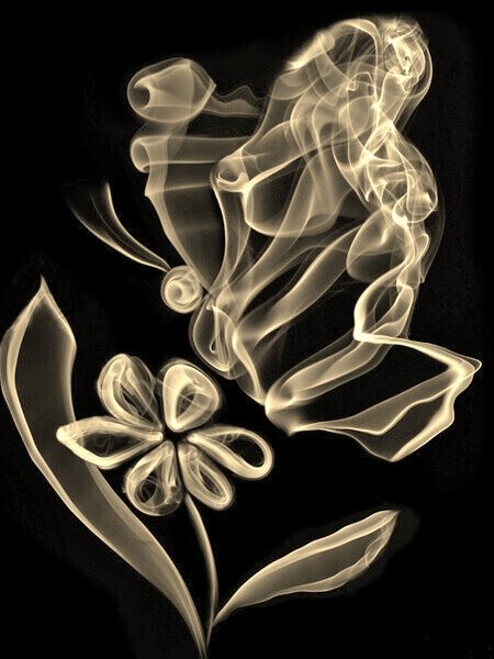 "  .  ,  , , :    , ...