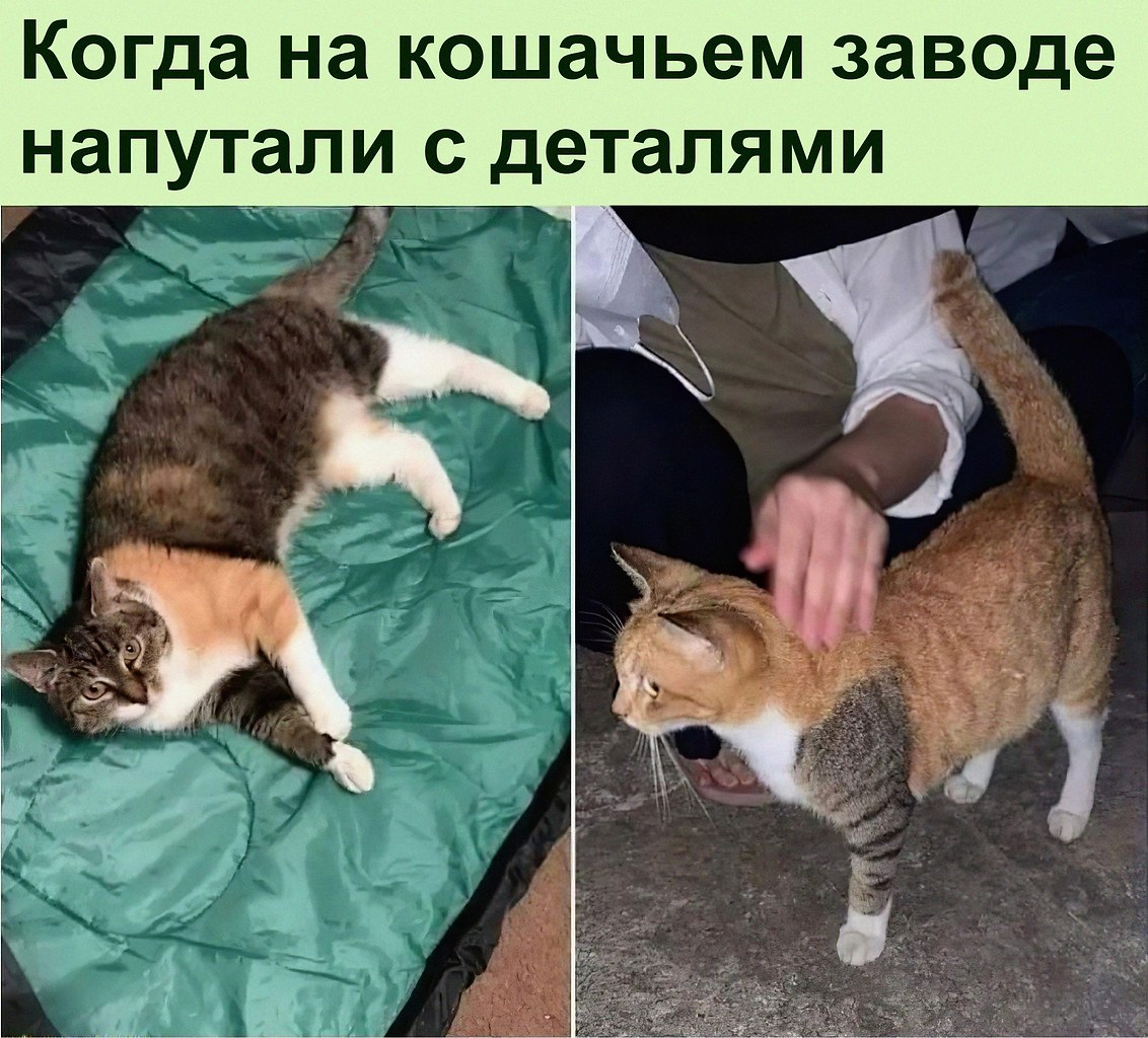   :D - 4  2022  11:19