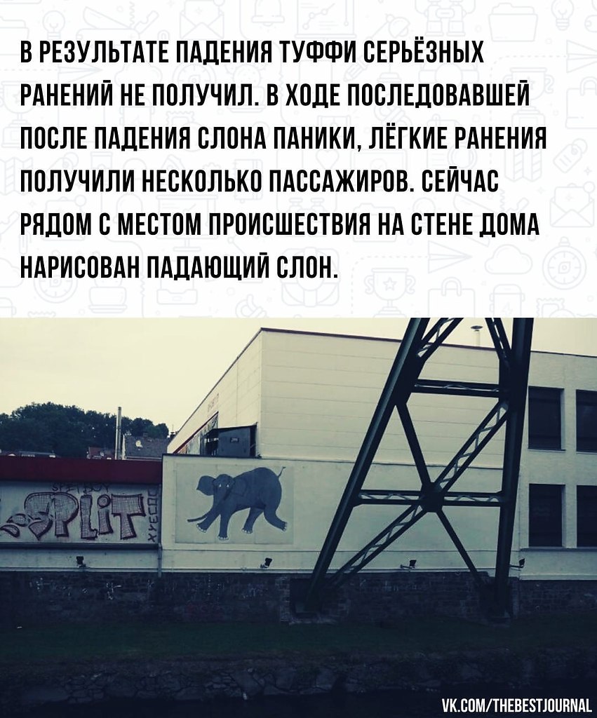 BEST | , ,  - 1  2022  07:50 - 4