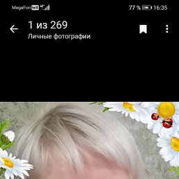  , , 42  -  26  2022