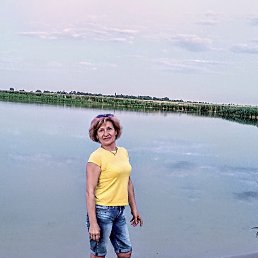 , 54, 
