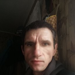 , 40, 