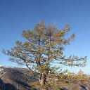 ���� ����, ������, 62 ���� - ��������� 4 ������� 2022 � ������ ������, ���� ������