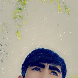 , , 26 