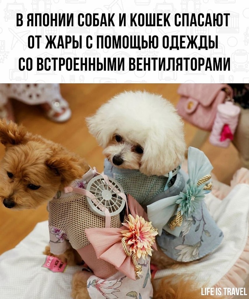 LIFE -  - 5  2022  23:38