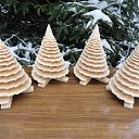 ���� ����������, �����-��������� - ��������� 23 ������� 2022 � ������ ������ ��������