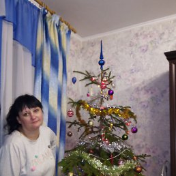 ���� �����, ������, 46 ��� - ��������� 23 ������ 2023