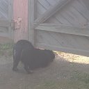 ���� �����, ���������, 49 ��� - ��������� 28 ���� 2022 � ������ ������ ��������