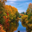 ���� ����, �������, 46 ��� - ��������� 17 �������� 2022 � ������ ���� ����������