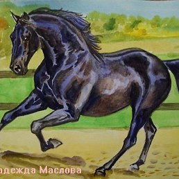 Sanjar, ������, 42 ����