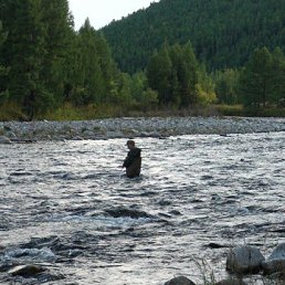 ���� ����, ������, 51 ��� - ��������� 24 �������� 2022