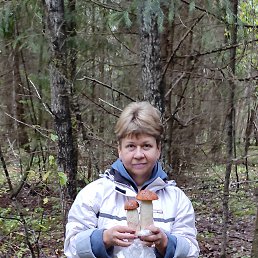 ���� ���������, �����-���������, 61 ��� - ��������� 25 ������ 2022