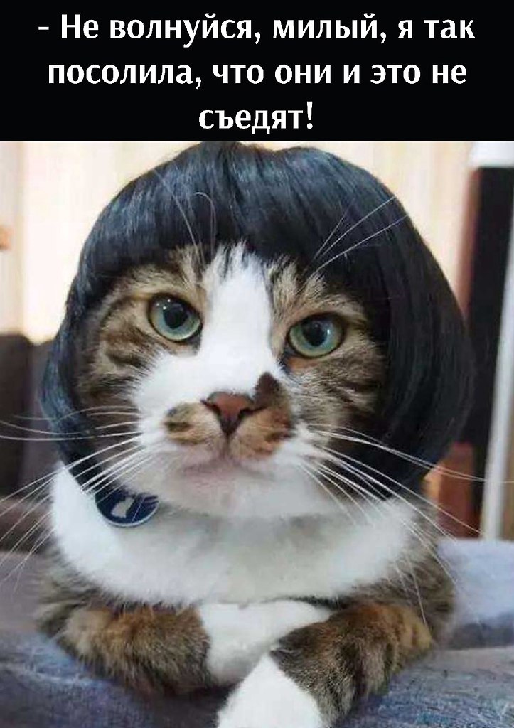       - 13  2022  19:24 - 2