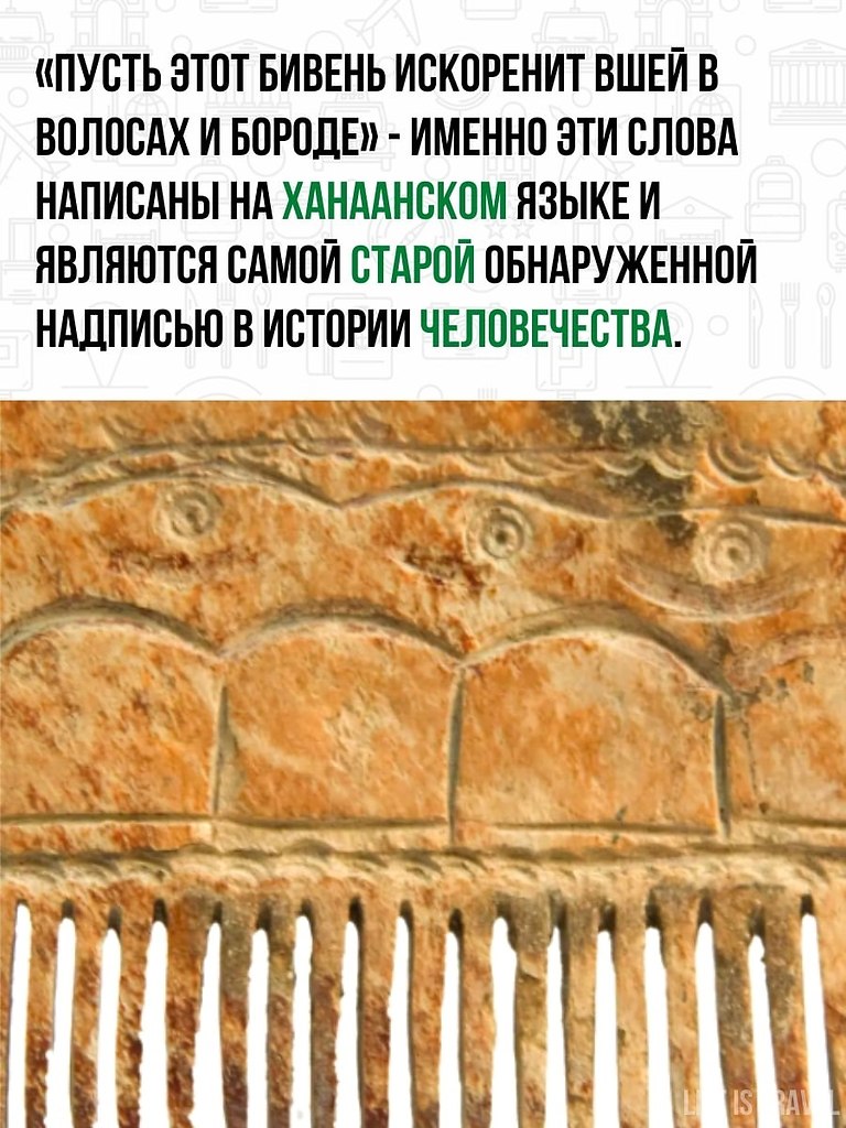          . - 3