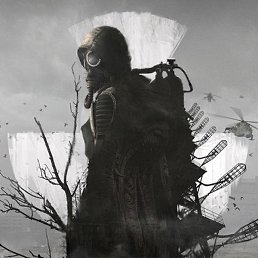, , 29 