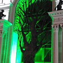 ���� �����, �����, 54 ���� - ��������� 22 ������� 2022