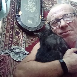 ��������, ���������, 52 ����