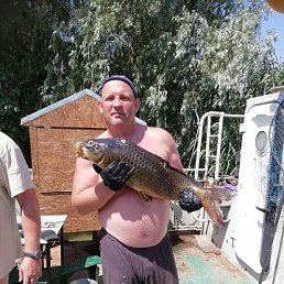 ���� �������, ������, 51 ��� - ��������� 11 ������ 2023