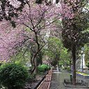 ���� ��������, ������, 63 ���� - ��������� 4 ����� 2022 � ������ ���������� ������