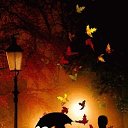 ���� �����, ����������� - ��������� 19 ������ 2022 � ������ ������ ��������