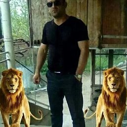 ���� Garo, �����������, 39 ��� - ��������� 9 ������� 2023