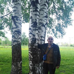 �����, �����-���������, 56 ���