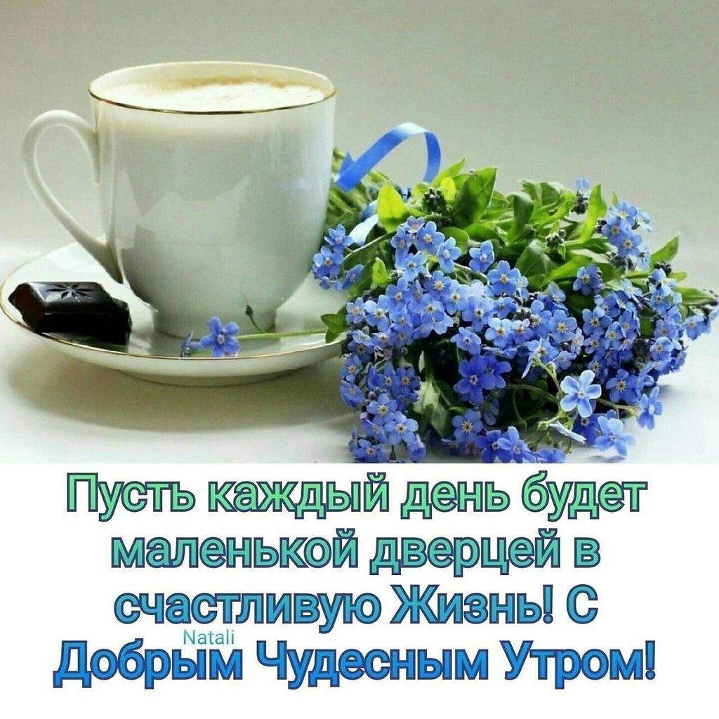  - 17  2023  11:35 - 2