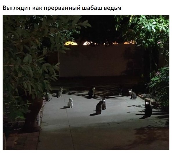    ,      . - 3