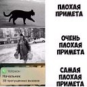 ���� �����, ������ ��������, 56 ��� - ��������� 19 ������� 2023 � ������ ������ ��������