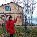 ���� ���, ��������, 60 ��� - ��������� 23 ���� 2022