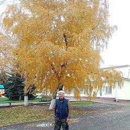 ���� �����, ������-��-����, 49 ��� - ��������� 5 ������ 2022